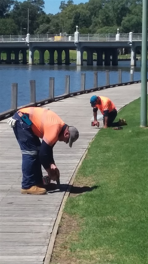 Boardwalk maintenance.jpg
