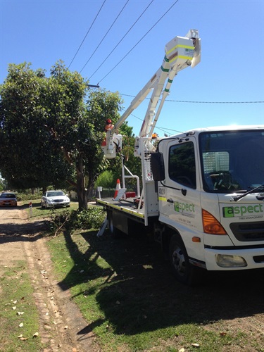 Image of workers clearing electric lines