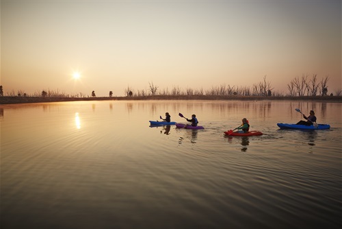 Image of people canoeing at Winton Wetlands