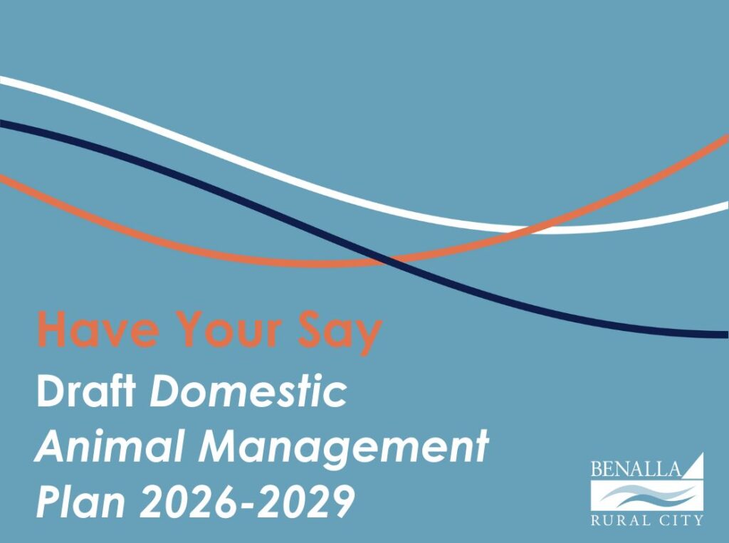 Domestic Animal Management Plan is out for public exhibition